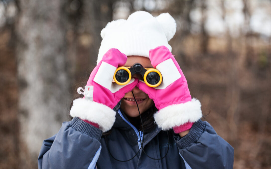 Christmas Bird Count