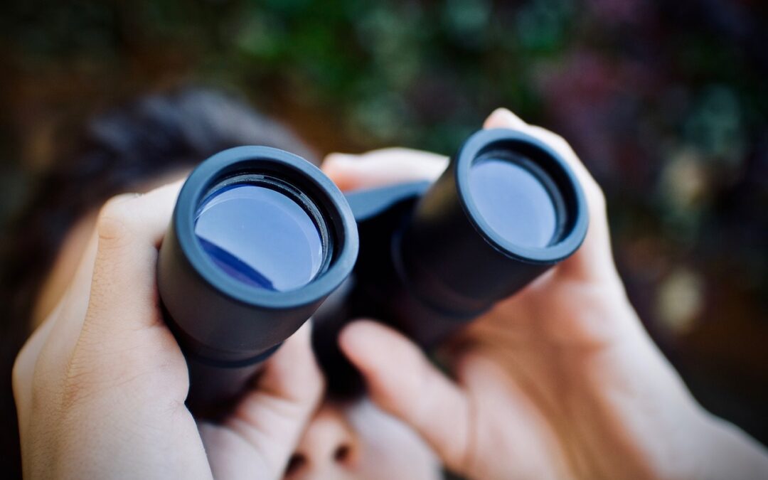 Breeding Bird Survey