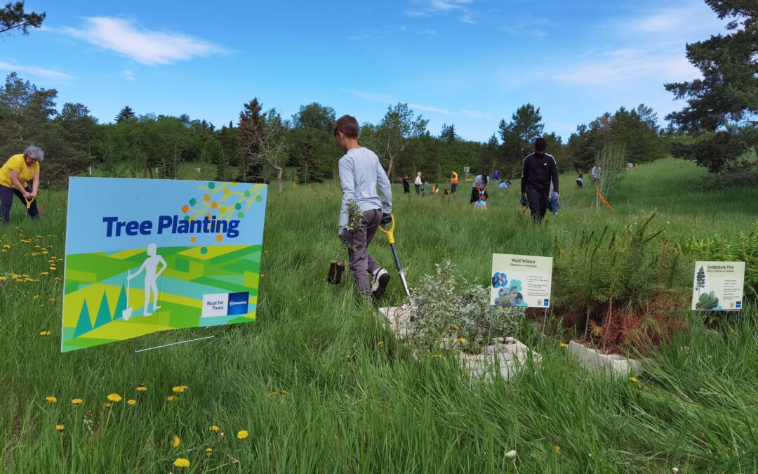 Tree Planting for Biodiversity