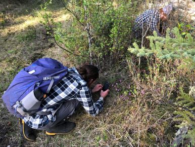 May Plant Count Events