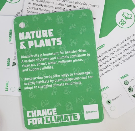 Neighbouring for Climate Presents: Let’s Talk Trees