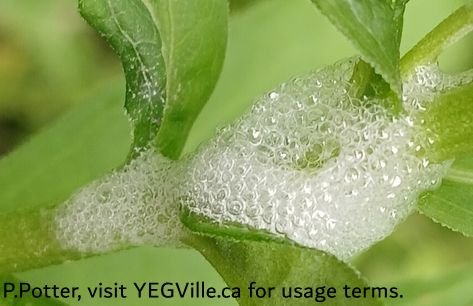 Oct 2 – Taking Nature for Granted