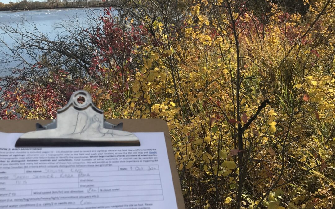 Schultz Lake Bioblitz