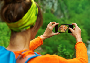 Discover Alberta’s CitSci Hub: Connect, Collaborate and Celebrate