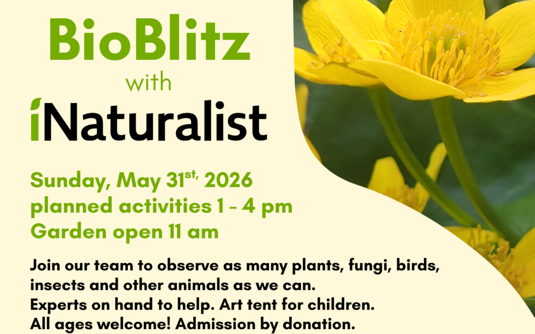 BioBlitz 2026 at George Pegg Botanic Garden