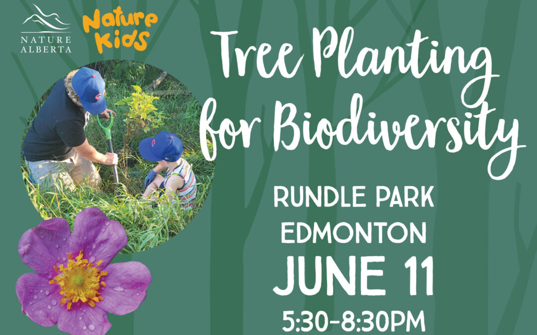 Tree Planting for Biodiversity